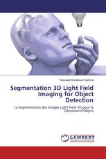 Segmentation 3D Light Field Imaging for Object Detection