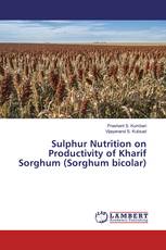 Sulphur Nutrition on Productivity of Kharif Sorghum (Sorghum bicolar)