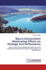 Macro Environment Moderating Effects on Strategy and Performance