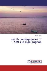 Health consequences of SMEs in Bida, Nigeria