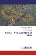 Cumin – A Popular Herb of Spice
