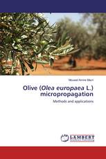 Olive (Olea europaea L.) micropropagation