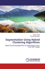 Segmentation Using Hybrid Clustering Algorithms
