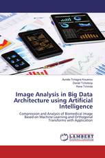 Image Analysis in Big Data Architecture using Artificial Intelligence
