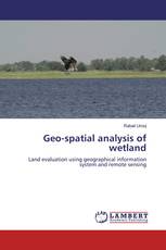 Geo-spatial analysis of wetland