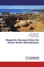 Magnetic Nanoparticles for Waste Water Remediation