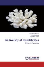 Biodiversity of Invertebrates