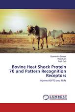 Bovine Heat Shock Protein 70 and Pattern Recognition Receptors