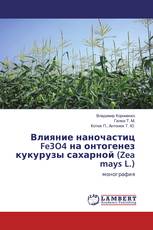 Влияние наночастиц Fe3O4 на онтогенез кукурузы сахарной (Zea mays L.)