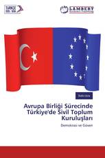Avrupa Birliği Sürecinde Türkiye'de Sivil Toplum Kuruluşları