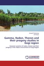 Gamma, Radon, Thoron and their progeny studies in Gogi region