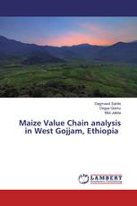 Maize Value Chain analysis in West Gojjam, Ethiopia