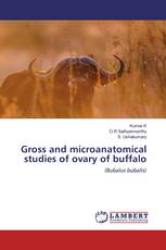 Gross and microanatomical studies of ovary of buffalo