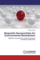 Magnetite Nanoparticles for Environmental Remediation