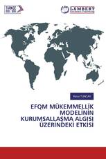 EFQM MÜKEMMELLİK MODELİNİN KURUMSALLAŞMA ALGISI ÜZERİNDEKİ ETKİSİ