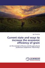 Current state and ways to increase the economic efficiency of grain