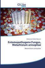Entomopathogene Fungus, Metarhizium anisopliae