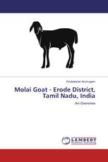 Molai Goat - Erode District, Tamil Nadu, India