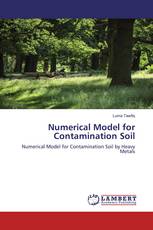 Numerical Model for Contamination Soil