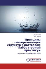 Принципы самоорганизации структур в растворах. Лабораторный практикум