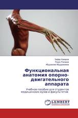 Функциональная анатомия опорно-двигательного аппарата