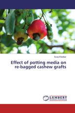 Effect of potting media on re-bagged cashew grafts