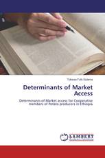 Determinants of Market Access
