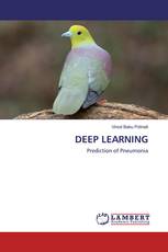 DEEP LEARNING