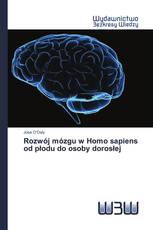 Rozwój mózgu w Homo sapiens od płodu do osoby dorosłej