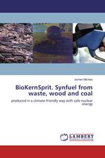 BioKernSprit. Synfuel from waste, wood and coal