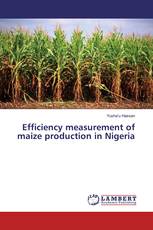 Efficiency measurement of maize production in Nigeria