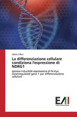 La differenziazione cellulare condiziona l'espressione di NDRG1