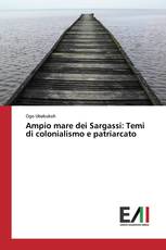 Ampio mare dei Sargassi: Temi di colonialismo e patriarcato