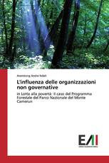 L'influenza delle organizzazioni non governative