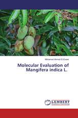 Molecular Evaluation of Mangifera indica L.