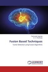 Fusion Based Techniques