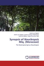 Synopsis of Naucleopsis Miq. (Moraceae)