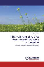 Effect of heat shock on stress responsive gene expression