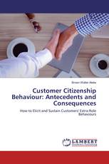 Customer Citizenship Behaviour: Antecedents and Consequences