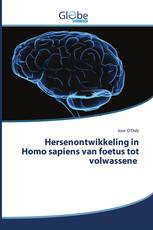Hersenontwikkeling in Homo sapiens van foetus tot volwassene