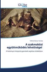 A szakmaközi együttműködés lehetőségei