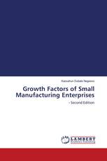 Growth Factors of Small Manufacturing Enterprises