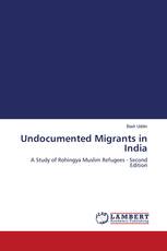 Undocumented Migrants in India
