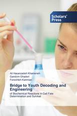 Bridge to Youth Decoding and Engineering