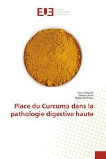 Place du Curcuma dans la pathologie digestive haute