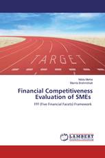 Financial Competitiveness Evaluation of SMEs