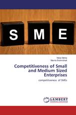 Competitiveness of Small and Medium Sized Enterprises