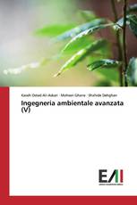 Ingegneria ambientale avanzata (V)