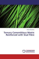 Ternary Cementitious Matrix Reinforced with Sisal Fibre