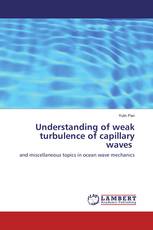 Understanding of weak turbulence of capillary waves 